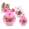 Cat Food Tumbler Toy Ball Interactive Cat