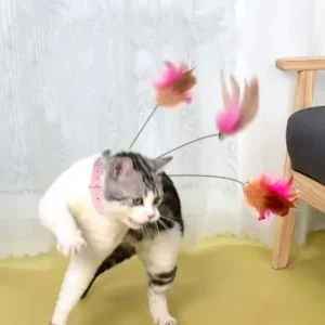 Funny Wand Training Toys for Cats