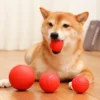 Solid Rubber Bouncy Ball Bite Resistant